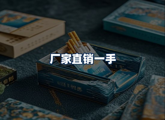 专业团队办公环境